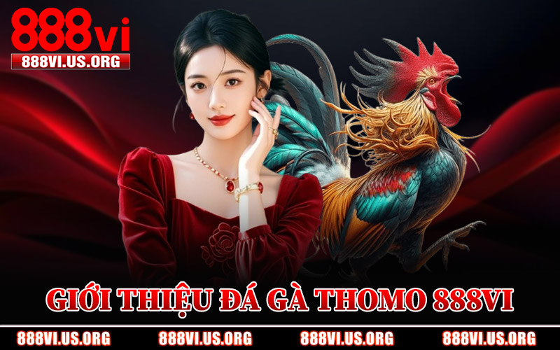 Giới Thiệu Đá Gà Thomo 888VI