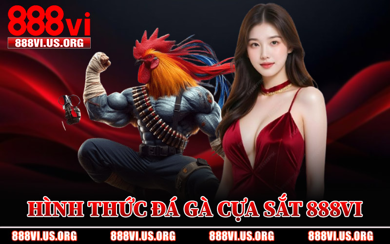 Hình Thức Cá Cược Đá Gà Cựa Sắt 888VI